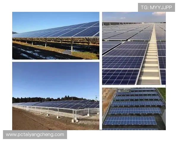 太阳集团官网首页最新动态全面解析,掌握企业发展最新资讯